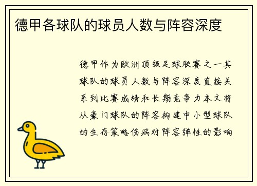 德甲各球队的球员人数与阵容深度